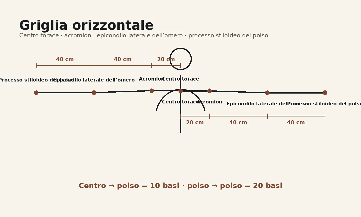 Tavola orizzontale braccia